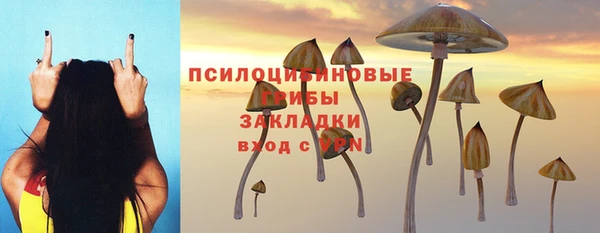 spice Майский
