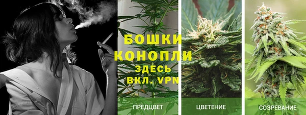 spice Майский