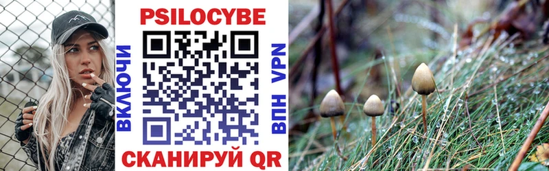 Галлюциногенные грибы прущие грибы  Купить  Рудня 